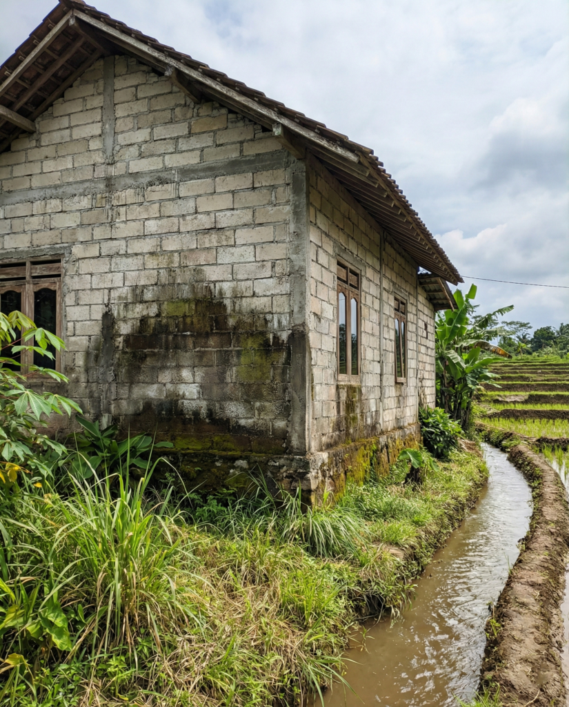 5 Panduan Perbaikan Dinding Lembap – Mortar Render Plester